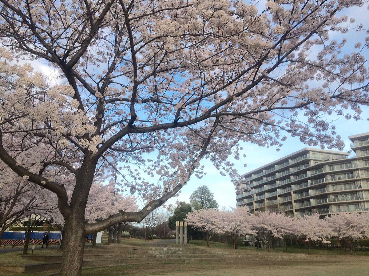 🌳 와카바다이 공원 (Wakabadai Park) 이미지 6